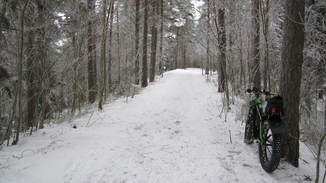 Epilänharjulla leveää polkua. Täältä ilmatorjunta ampui sodanaikana.