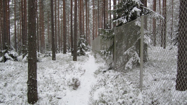 Helposti ajettavaa maastoa Ylöjärvellä vanhan televisiotornin juurella.