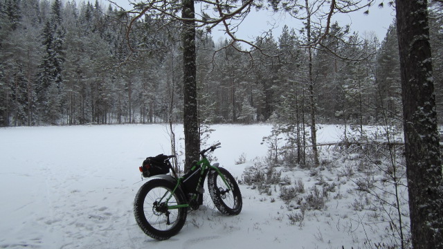 Nätti pieni lampi Ylöjärvellä.