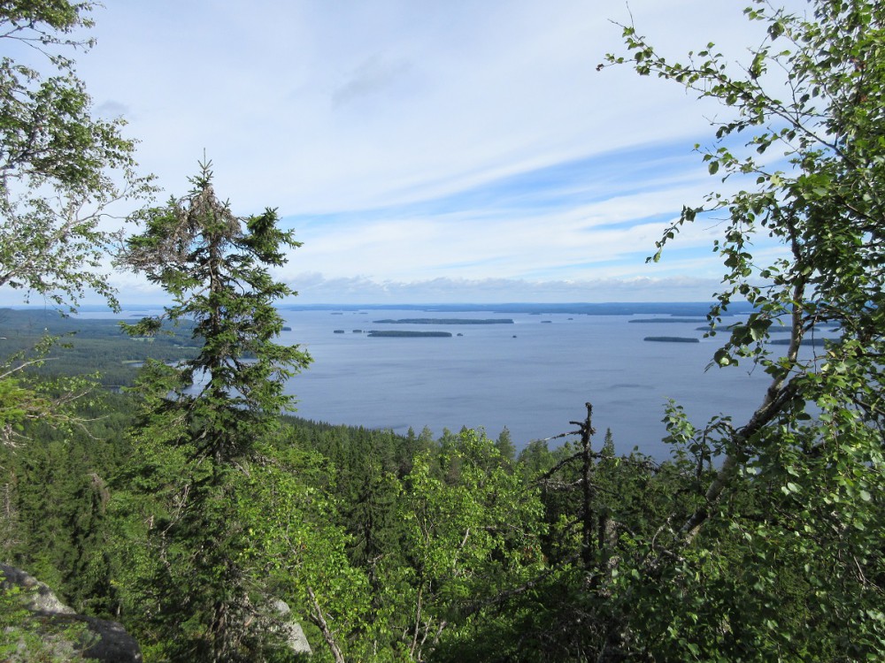 Koli.jpg