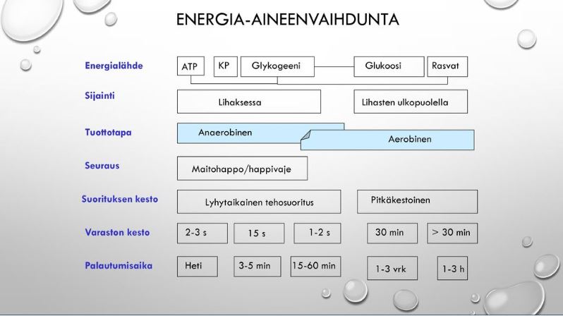 Energia-aineenvaihdunta.JPG