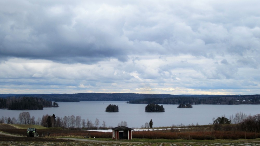 Hämeenkyrö Mahnala Yrjölän mansikkatila.