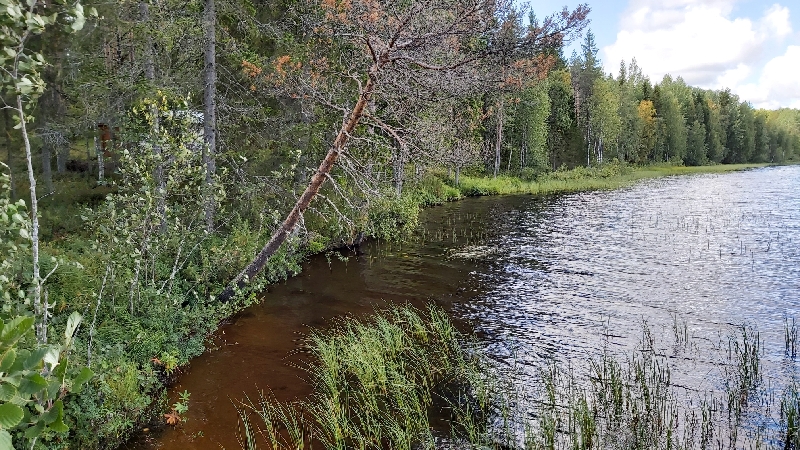 Kuva mökin hiekkarannasta.