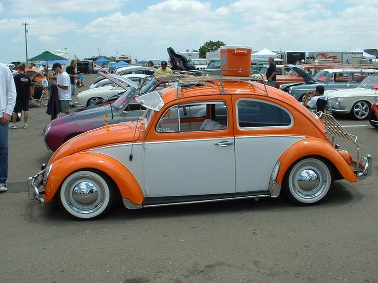 61b12c48deb73dd6b7a87fc57d178d56--beetle-juice-beetle-bug.jpg