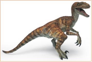 Velociraptor