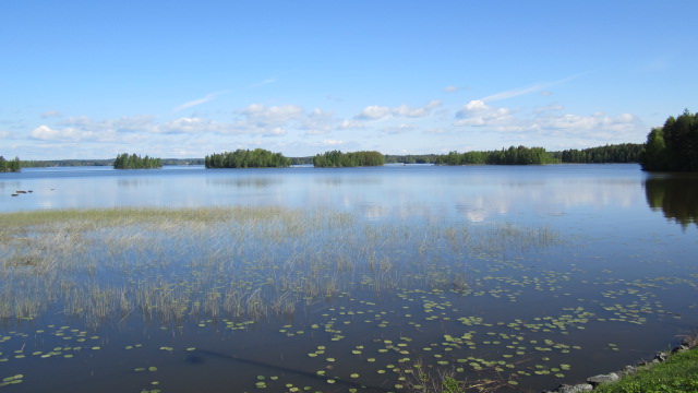 Vasemmalla oli linnunpesiä.