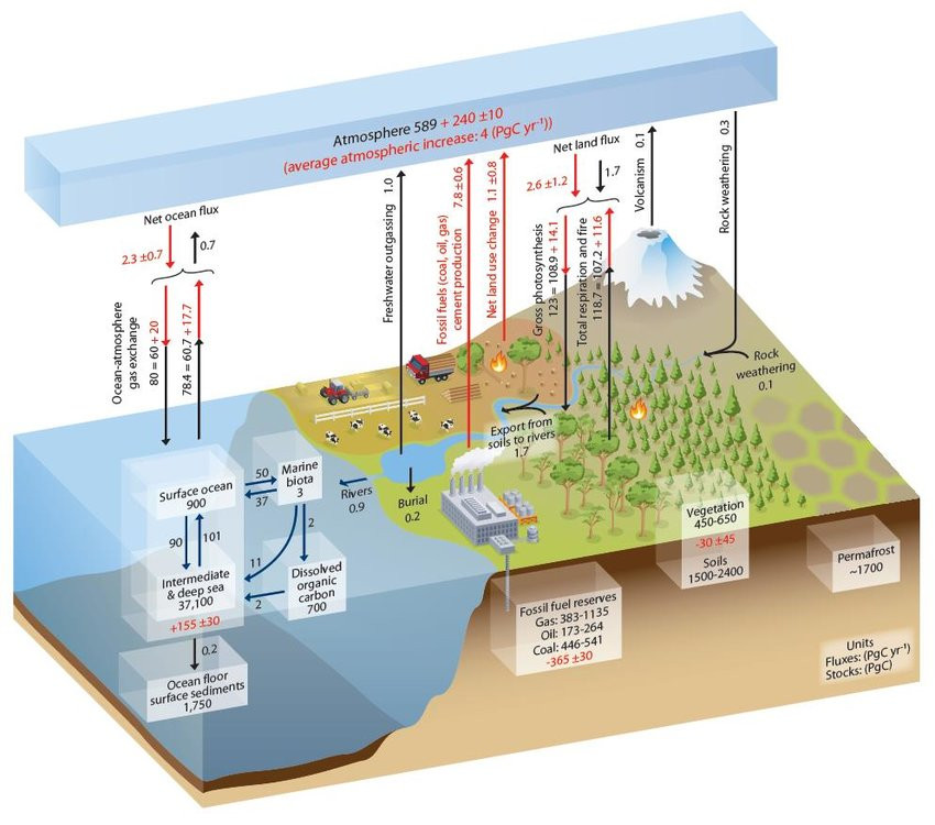 Simplified-schematic-of-the-global-carbon-cycle-IPCC-2013.jpg