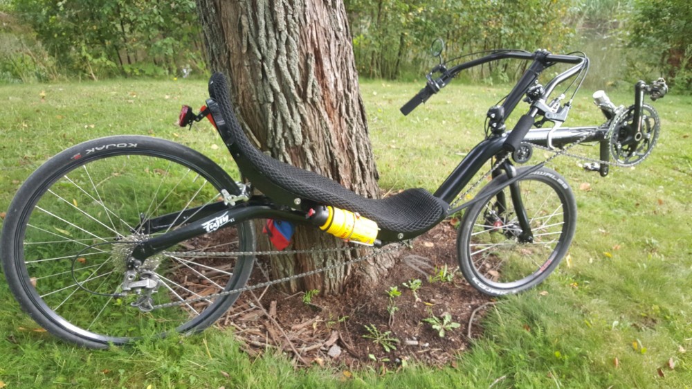 WhatsApp Image 2026-02-22 at 23.53.28.jpeg