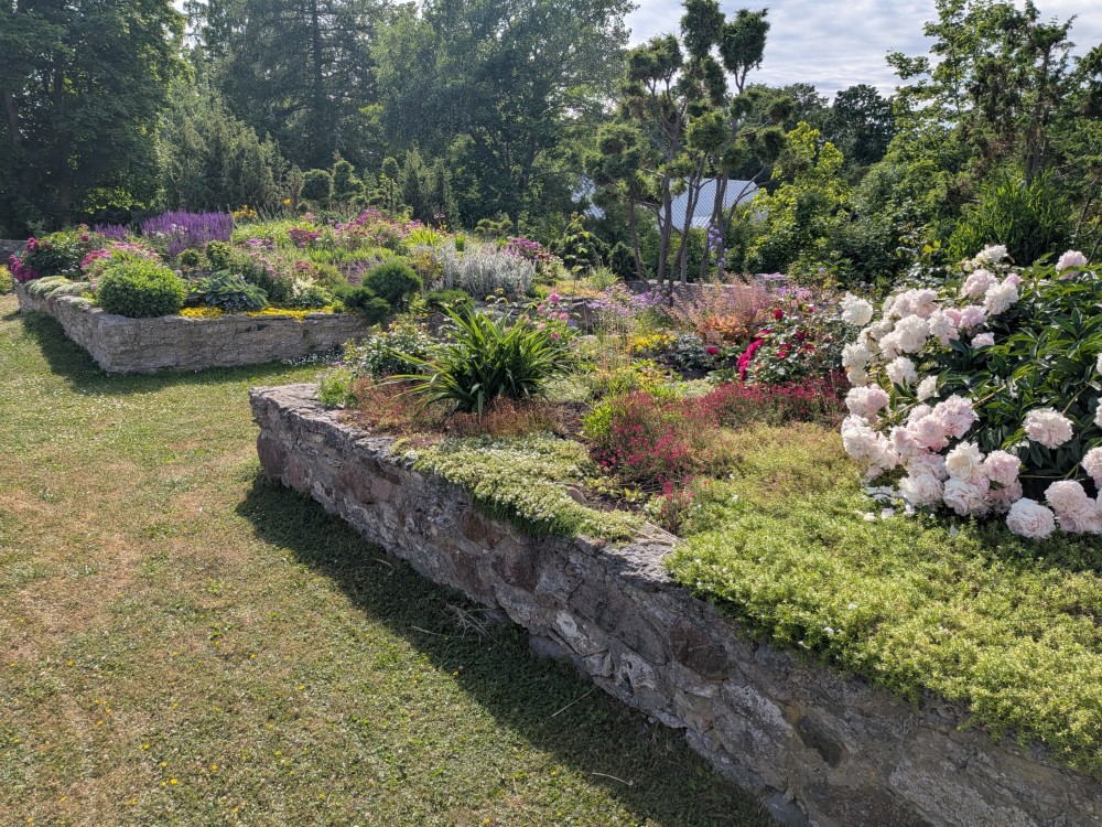 ResizedImage_2026-06-27_18-45-49_9112[6].jpg