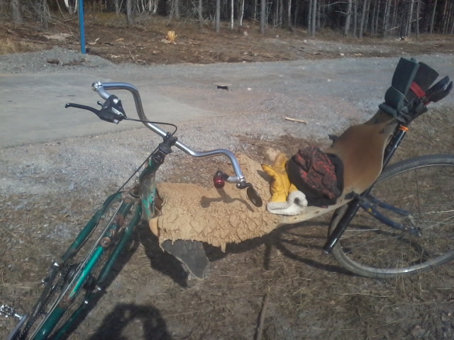 2014-04-19 11.13.47.jpg