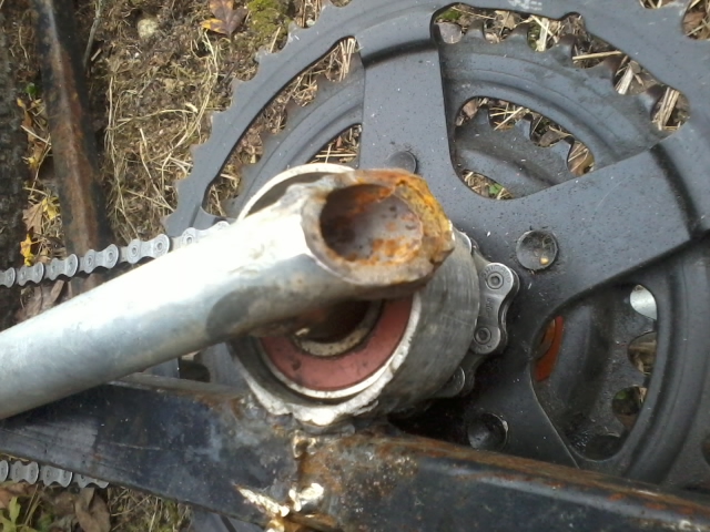 2014-11-15 10.35.39.jpg