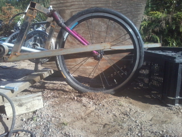 2015-09-01 10.11.08.jpg