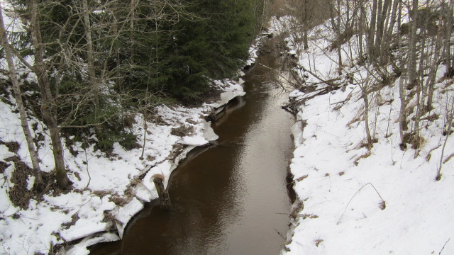 Hirveästi kuvattavaa ei ollut. Puro sentään.